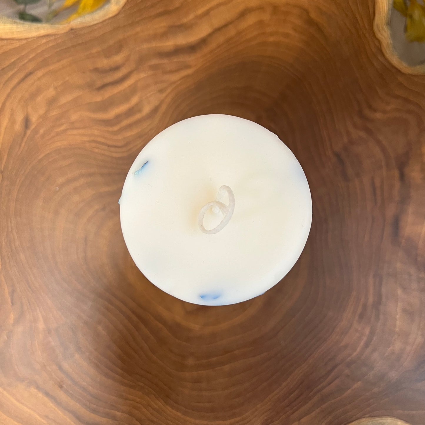 Vessel-free botanical candle