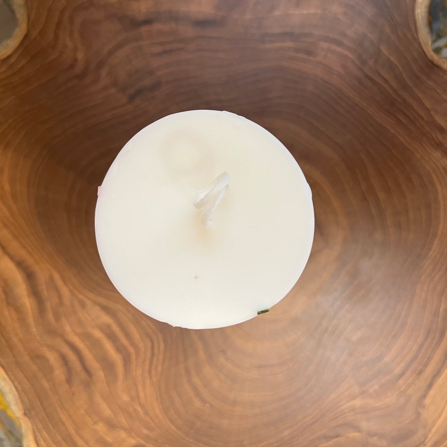 Vessel-free botanical candle